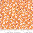 [36762] Badda Bing (36762)