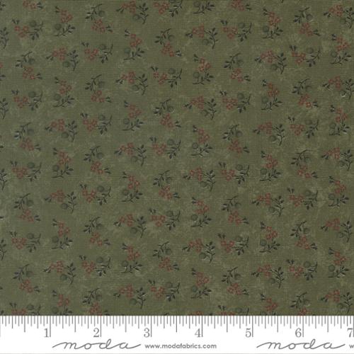 [36890] Quail Run Grass 9834 15 Kansas Troubles (36890)