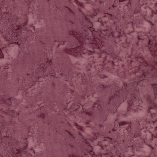 [24917] 1895 266 Watercolor Squid (24917)