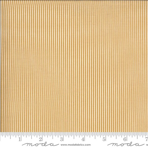 [27428] Folktale Skinny Stripes Golden