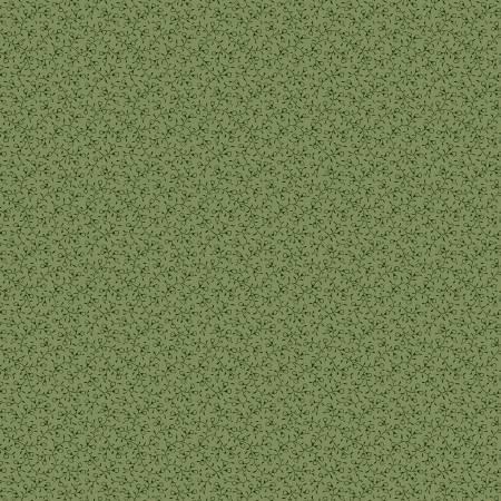 [25978] Full Circle Creeping Thyme